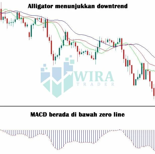 Indicator MACD dan Alligator
