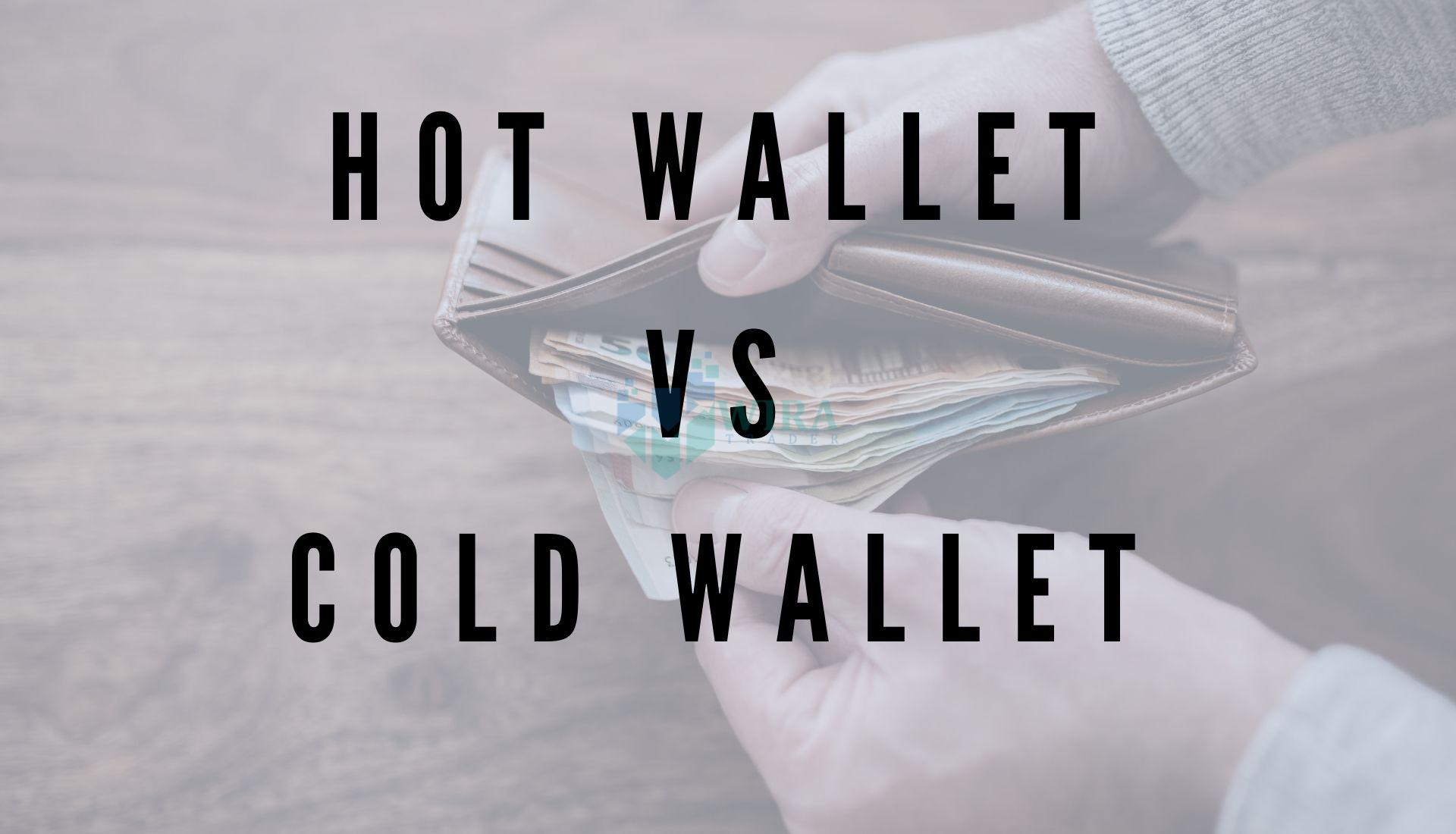 apa perbezaan antara hot wallet dan cold wallet crypto