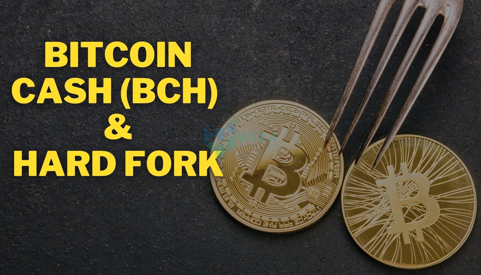 apa itu bitcoin cash dan apa itu hard fork